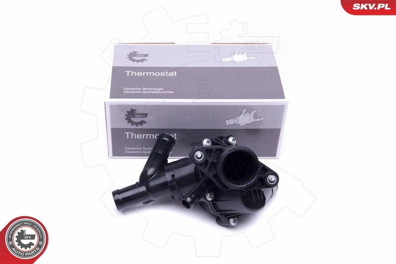 Thermostat, coolant